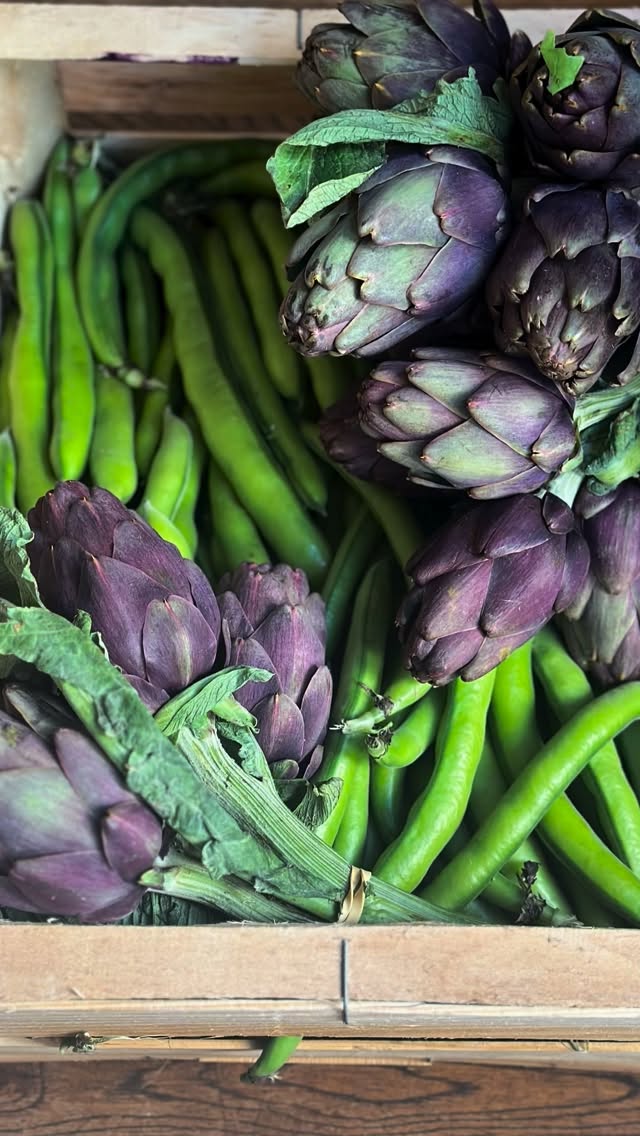 Artichauts et légumes de saison en cuisine